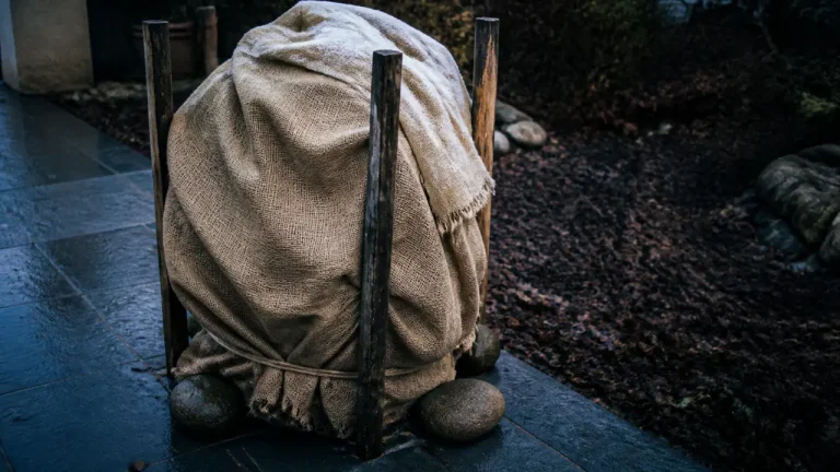 Voile d'hivernage fait maison sur arbuste en pot, 2 à 4 °C, toile de jute et drap